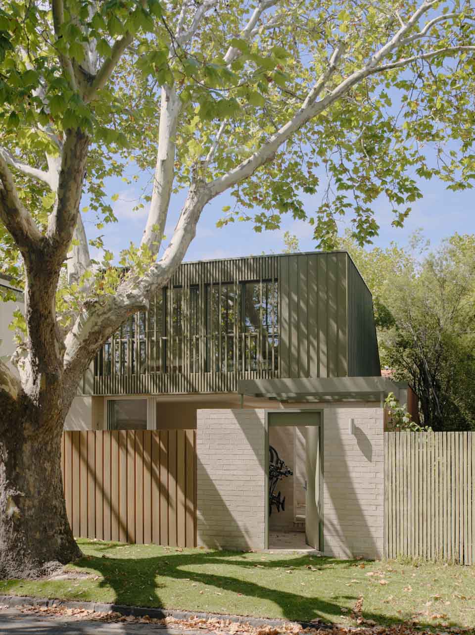 Plane Tree House