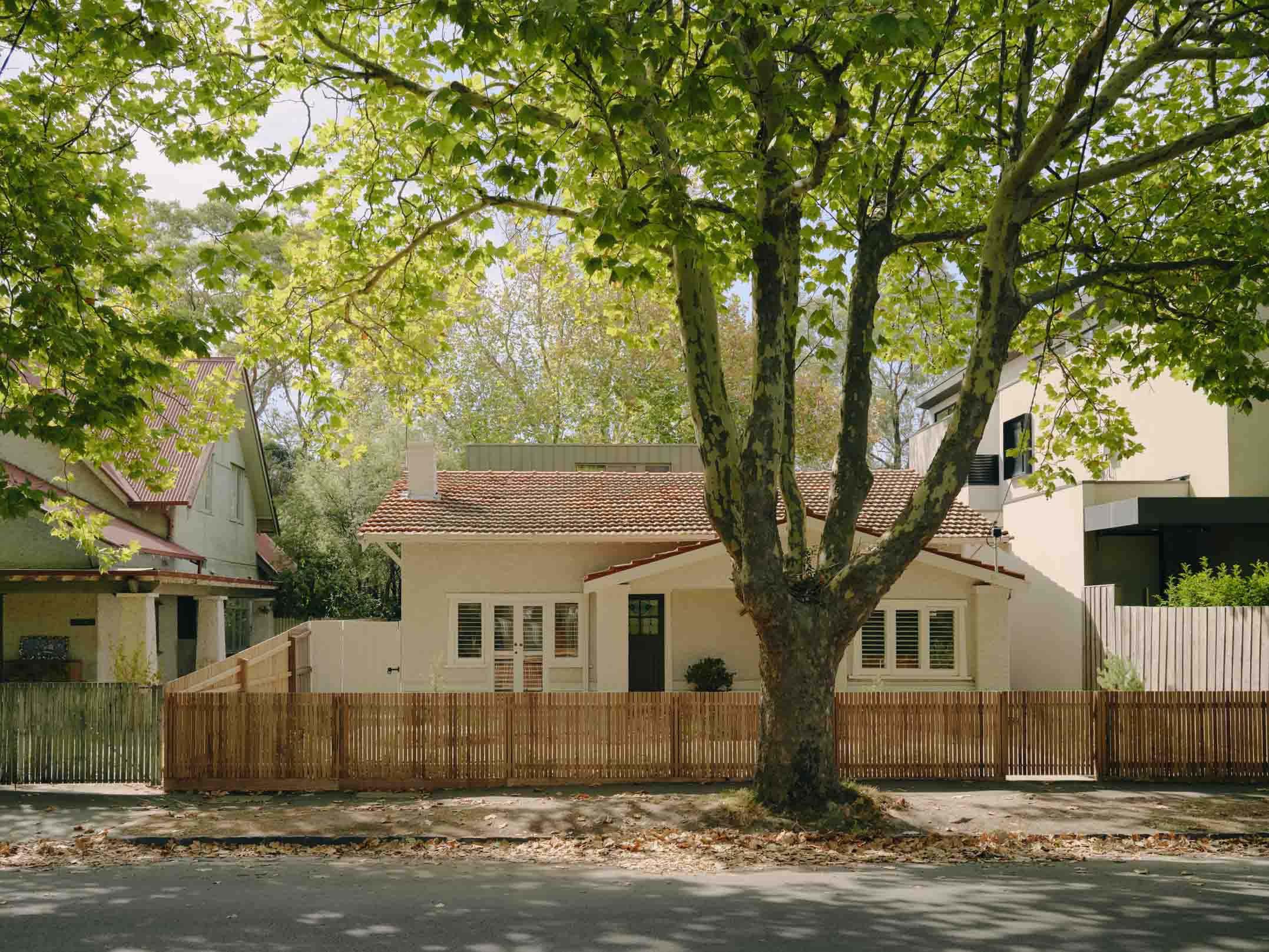 Plane Tree House