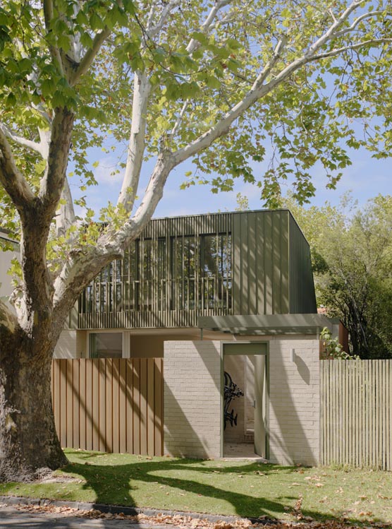 Plane Tree House